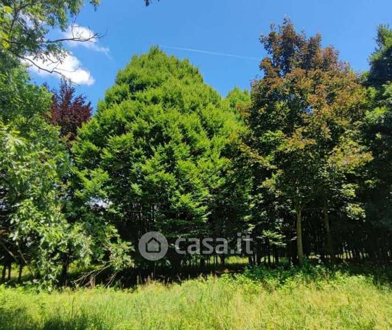 Terreno agricolo in commerciale in Via Terraglio