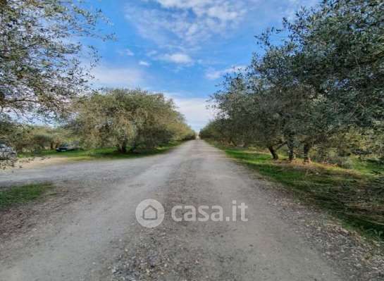 Terreno agricolo in commerciale in Via Orazio Bacci