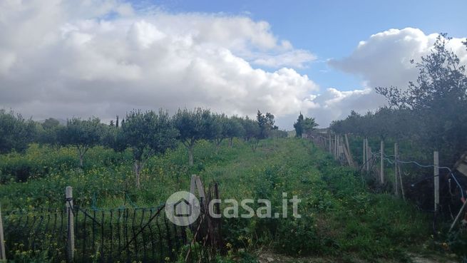 Terreno agricolo in commerciale in Via Tommaso Mallo