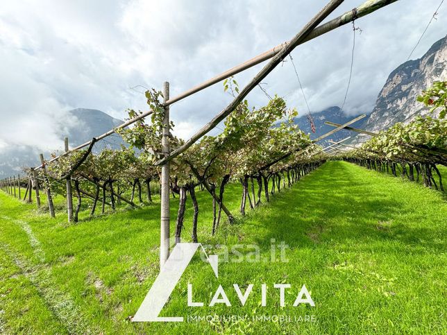 Terreno agricolo in commerciale in Via Stazione