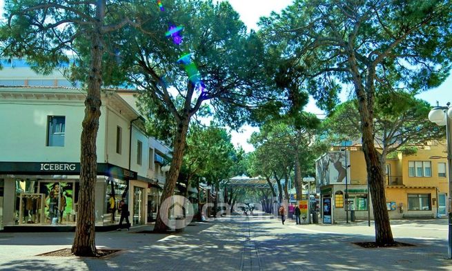 Appartamento in residenziale in Viale Maria Ceccarini