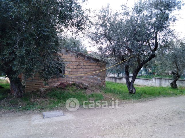 Terreno agricolo in commerciale in Contrada Senarica 37