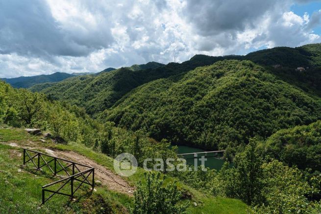 Attivitã /licenza (con o senza mura) in commerciale in Strada Provinciale 49