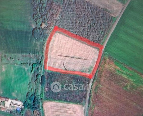 Terreno agricolo in commerciale in Via Zaninetta