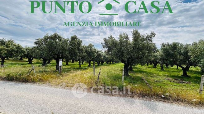 Terreno agricolo in commerciale in Viale San Bruno