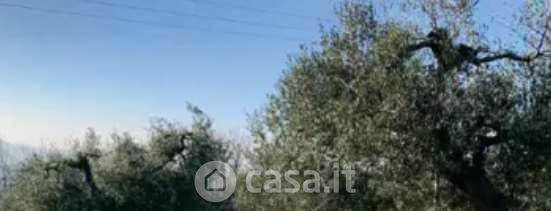 Terreno agricolo in commerciale in Strada Galilea