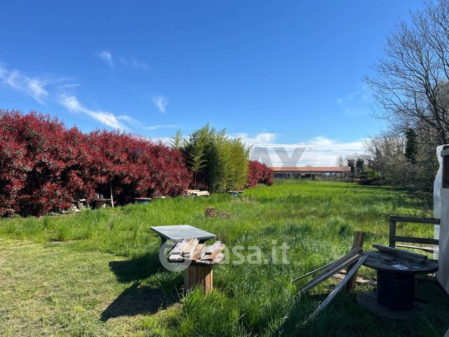 Terreno agricolo in commerciale in Strada Provinciale 104