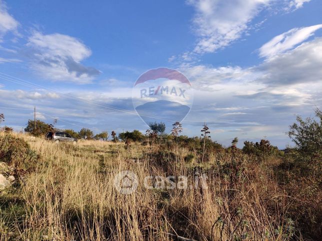 Terreno agricolo in commerciale in Strada Provinciale 57