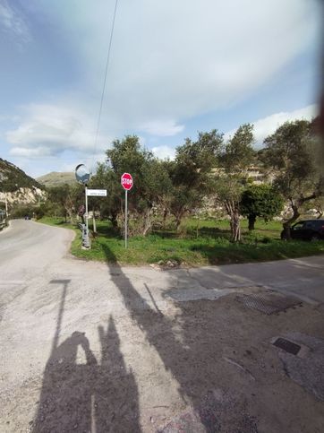 Terreno agricolo in commerciale in Loc licciano