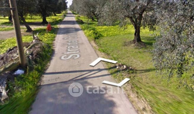 Terreno agricolo in commerciale in Via PIetro Diasparro