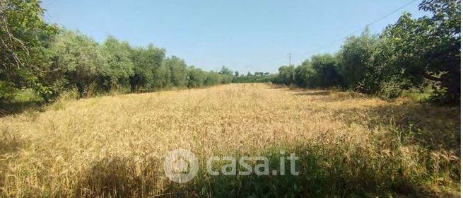 Terreno agricolo in commerciale in Via Filetto