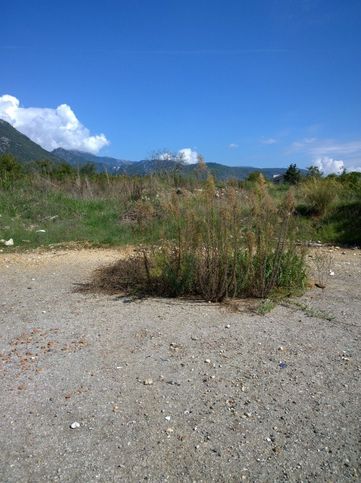 Terreno agricolo in commerciale in Via Cappella