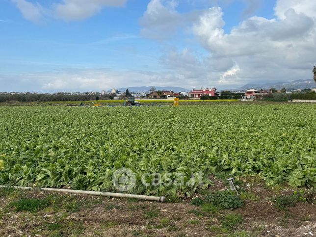 Terreno agricolo in commerciale in Via Serroni Alto 27