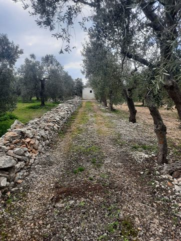 Terreno agricolo in commerciale in Contrada San Pietro 49