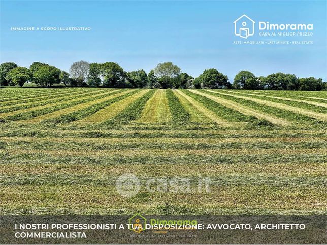 Terreno agricolo in commerciale in Viale Costa Marina 8