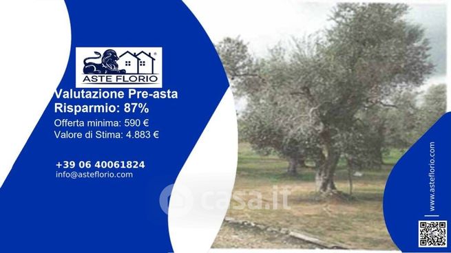 Terreno agricolo in commerciale in Strada Statale 275