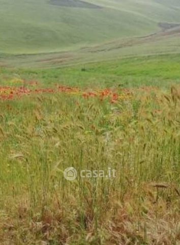 Terreno agricolo in commerciale in SP121 1