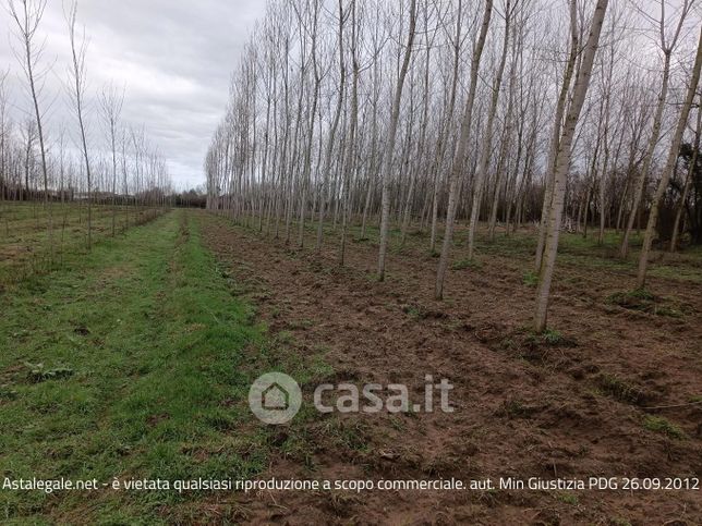 Terreno agricolo in commerciale in Strada Comunale