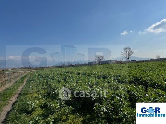 Terreno edificabile in residenziale in Località grottole