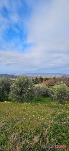 Terreno agricolo in commerciale in 