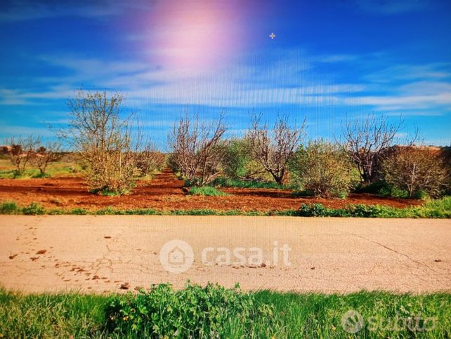 Terreno agricolo in commerciale in Zona Agriturismo S.Giuseppe