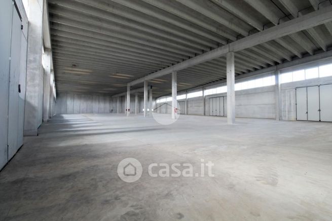 Capannone in commerciale in Via dei Curti 1