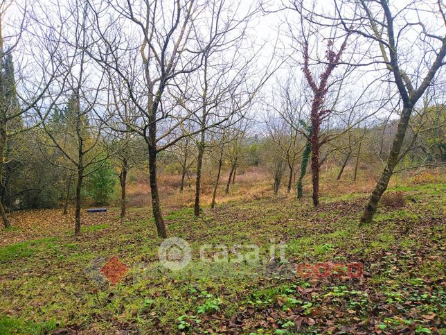 Terreno agricolo in commerciale in Piazza del Pincetto