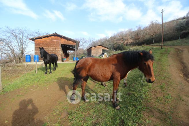 Attivitã /licenza (con o senza mura) in commerciale in 