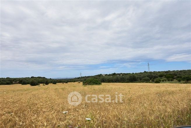 Terreno agricolo in commerciale in SAN MICHELE