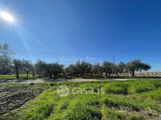 Terreno agricolo in commerciale in 