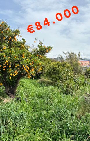 Terreno agricolo in commerciale in Contrada San Filippo