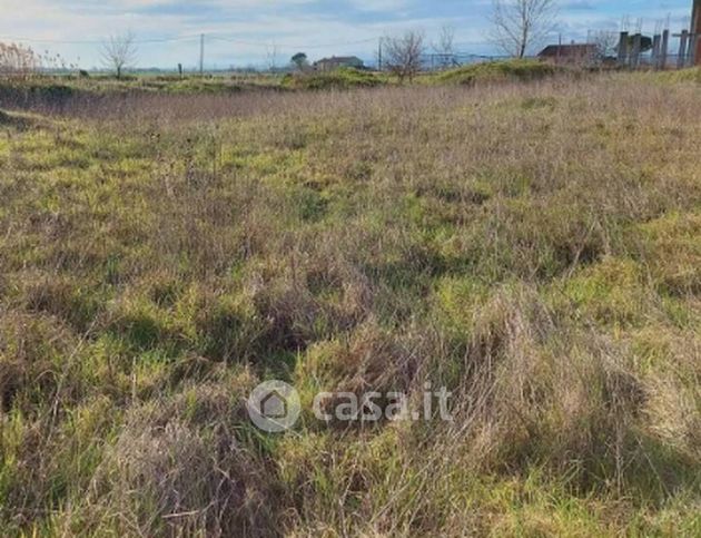 Terreno agricolo in commerciale in Via Erbosa