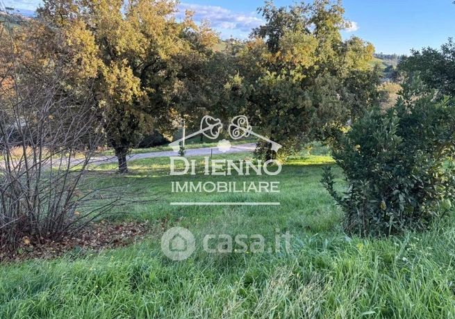Terreno agricolo in commerciale in Via Amendola