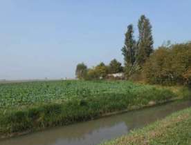 Terreno agricolo in commerciale in Via Passiva