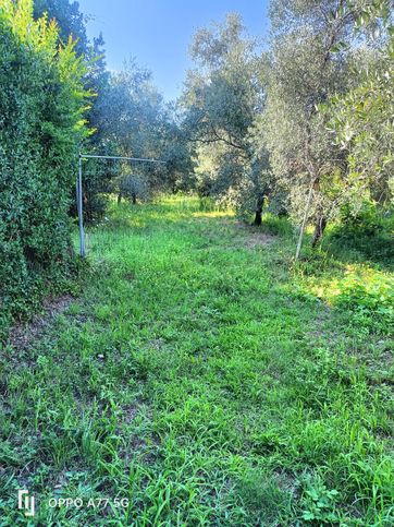 Terreno agricolo in commerciale in Via Giacomo Matteotti