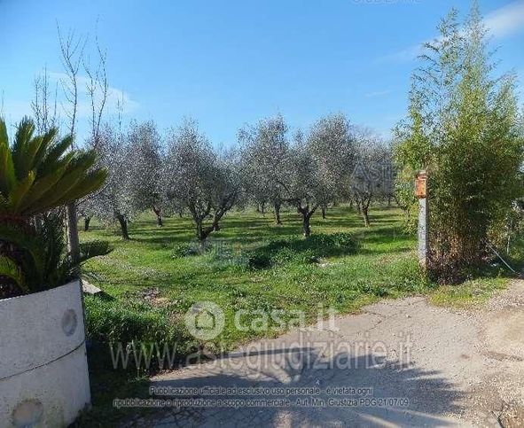 Terreno agricolo in commerciale in Via Jugoslavia