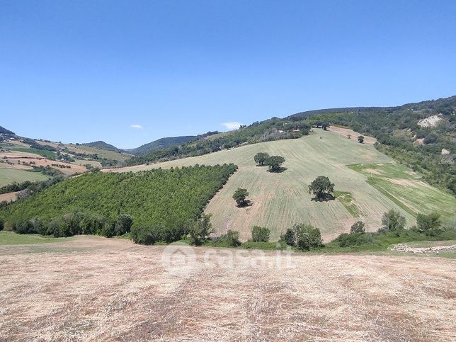 Terreno agricolo in commerciale in SANTA MARIA IN PIANA