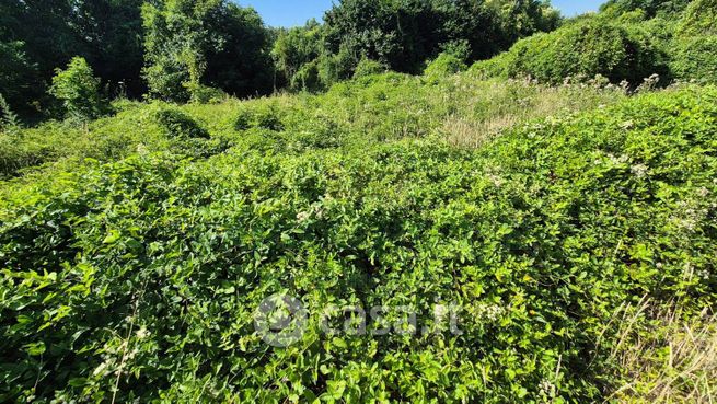 Terreno agricolo in commerciale in 