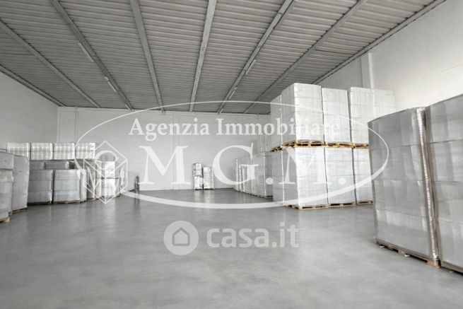 Capannone in commerciale in Via Guerrazzi