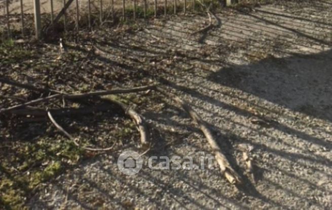 Terreno agricolo in commerciale in Via Provinciale