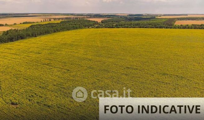 Terreno agricolo in commerciale in Contra' Pizzati