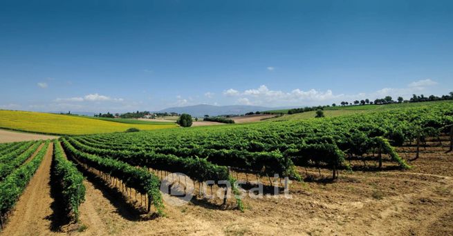 Terreno agricolo in commerciale in 