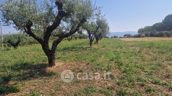 Terreno agricolo in commerciale in Via Radicofani