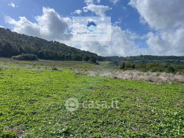 Terreno agricolo in commerciale in Via Provinciale Vigna di Valle