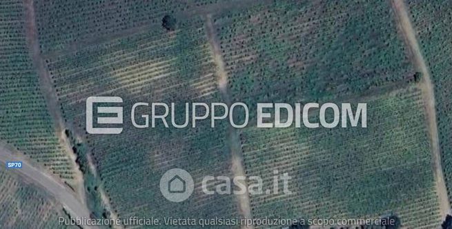 Terreno agricolo in commerciale in Strada Provinciale 201