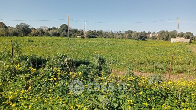Terreno agricolo in commerciale in Via Giardini 117