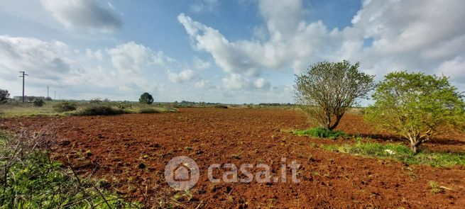 Terreno edificabile in residenziale in Strada Comunale Luci
