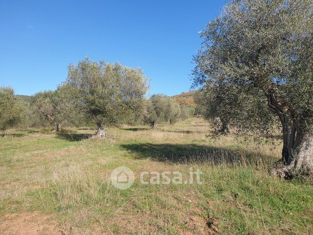 Terreno agricolo in commerciale in Piazza Fratelli Rosselli