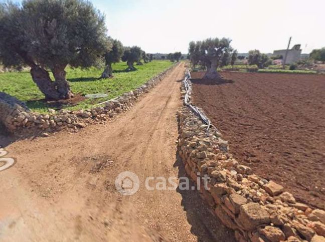 Terreno agricolo in commerciale in Strada Comunale Cardaro