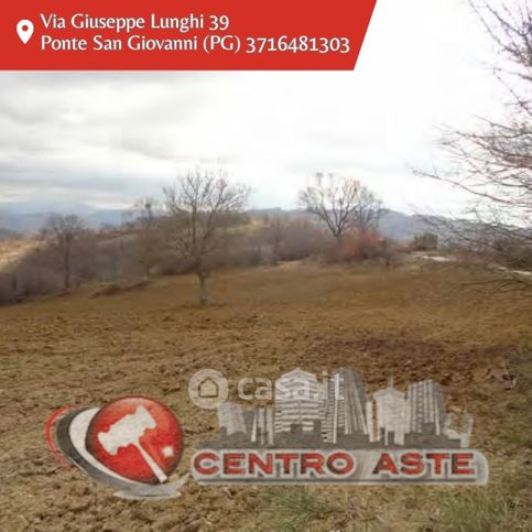 Terreno agricolo in commerciale in LocalitÃ  Carpiano